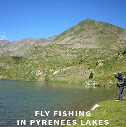 Fly fishing in Pyrenees Lakes